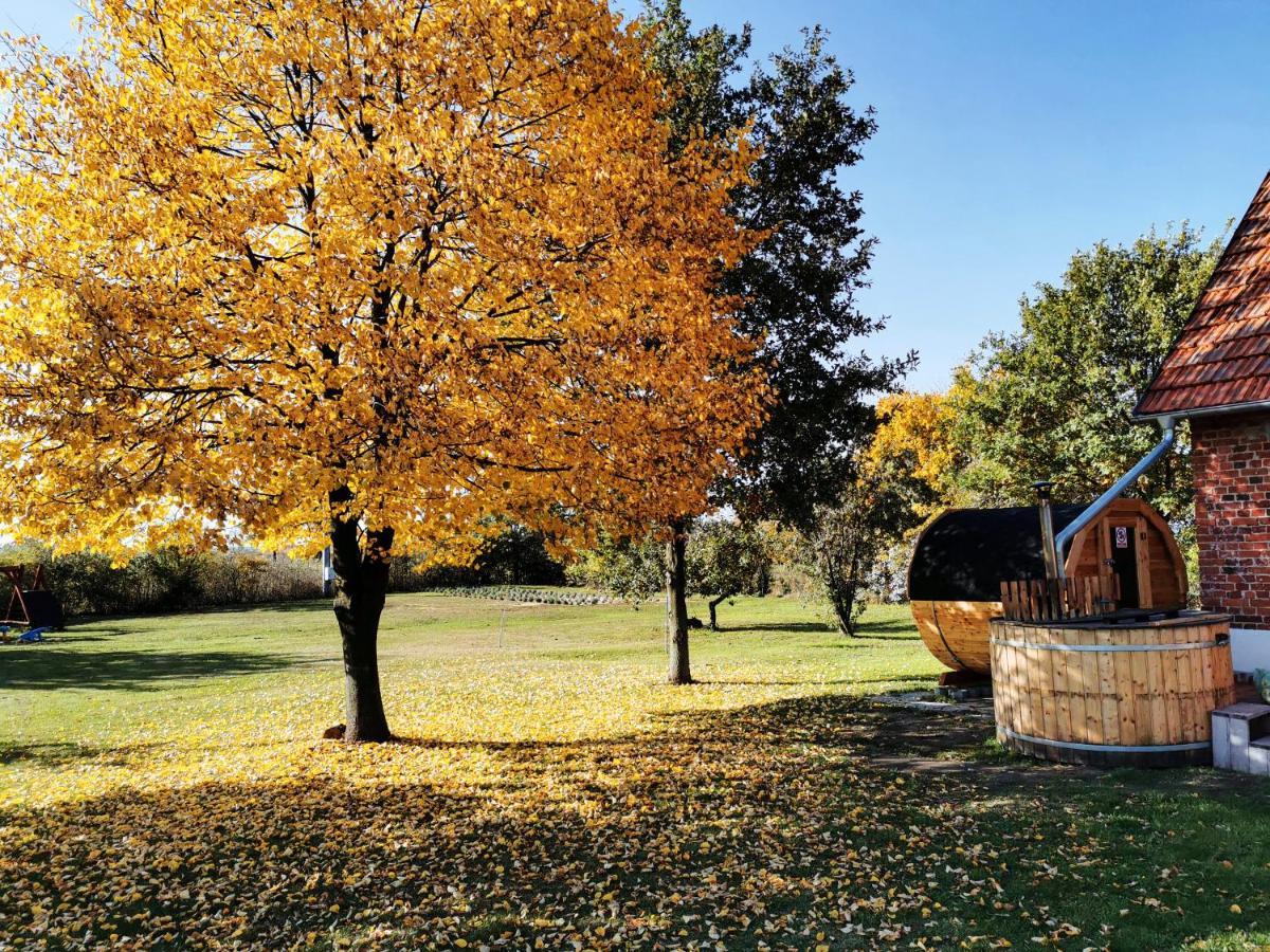Agroturystyka Ginkgo Sulislaw  Exterior foto
